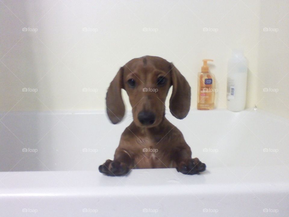 Bath time 