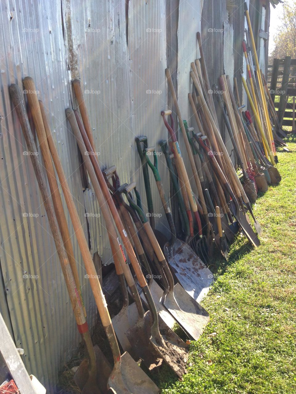 Shovels leaning on a barn