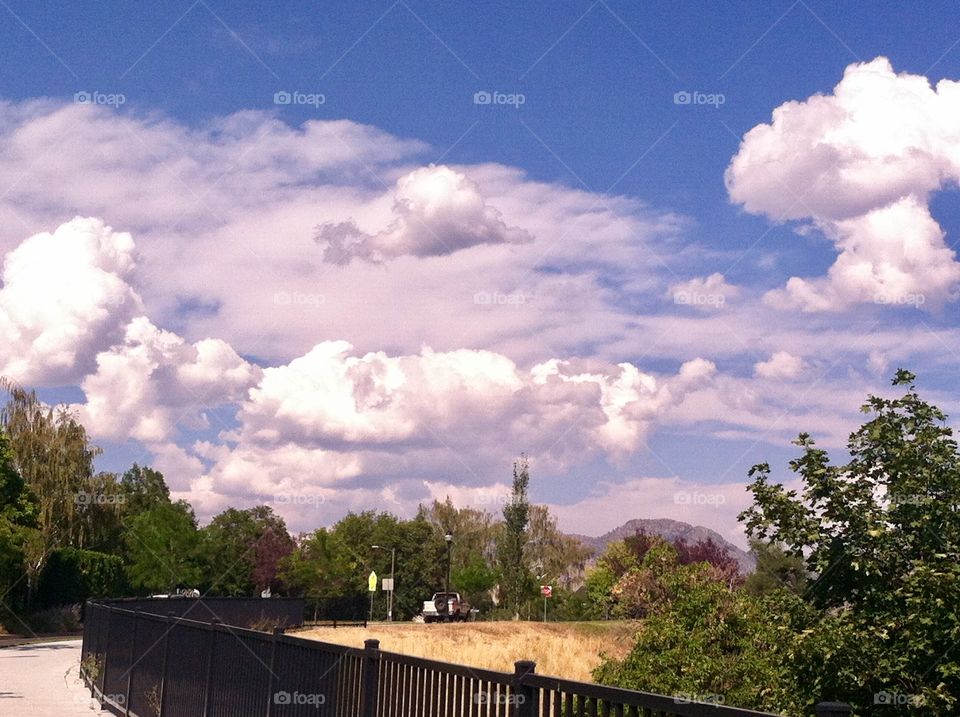 These clouds looked so puffy and beautiful against the deep blue sky that it made a simple walk very beautiful!