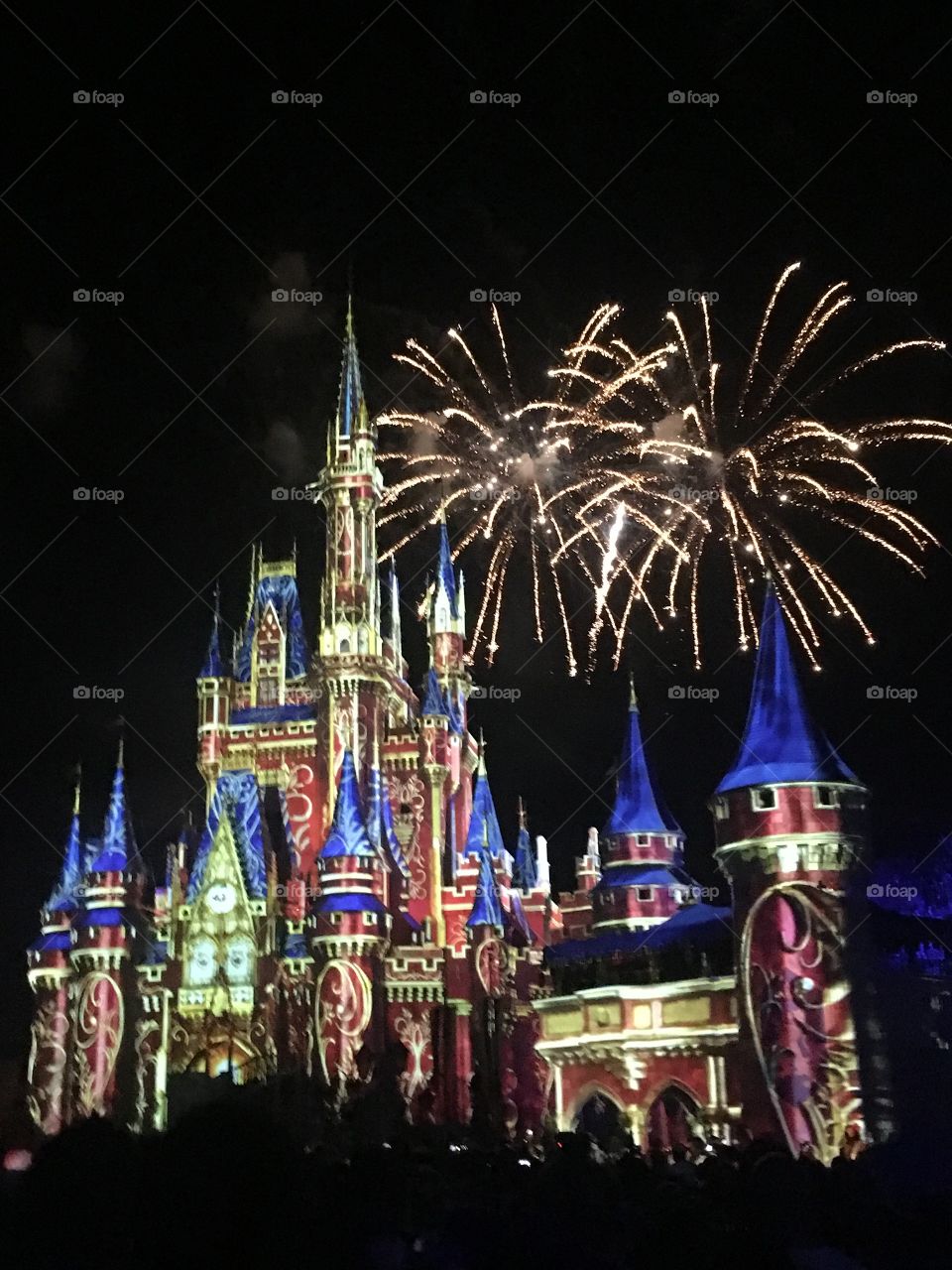 A beautiful and magical night! In Magic Kingdom