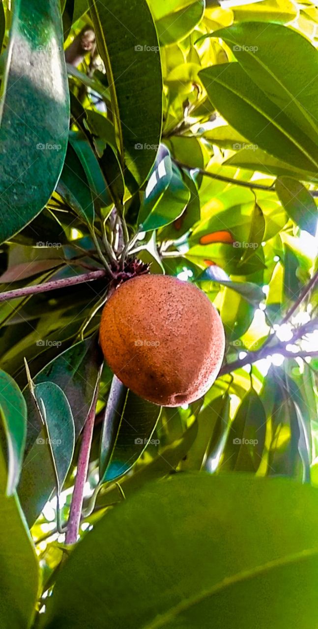 Fruity Fun 🥰❤️