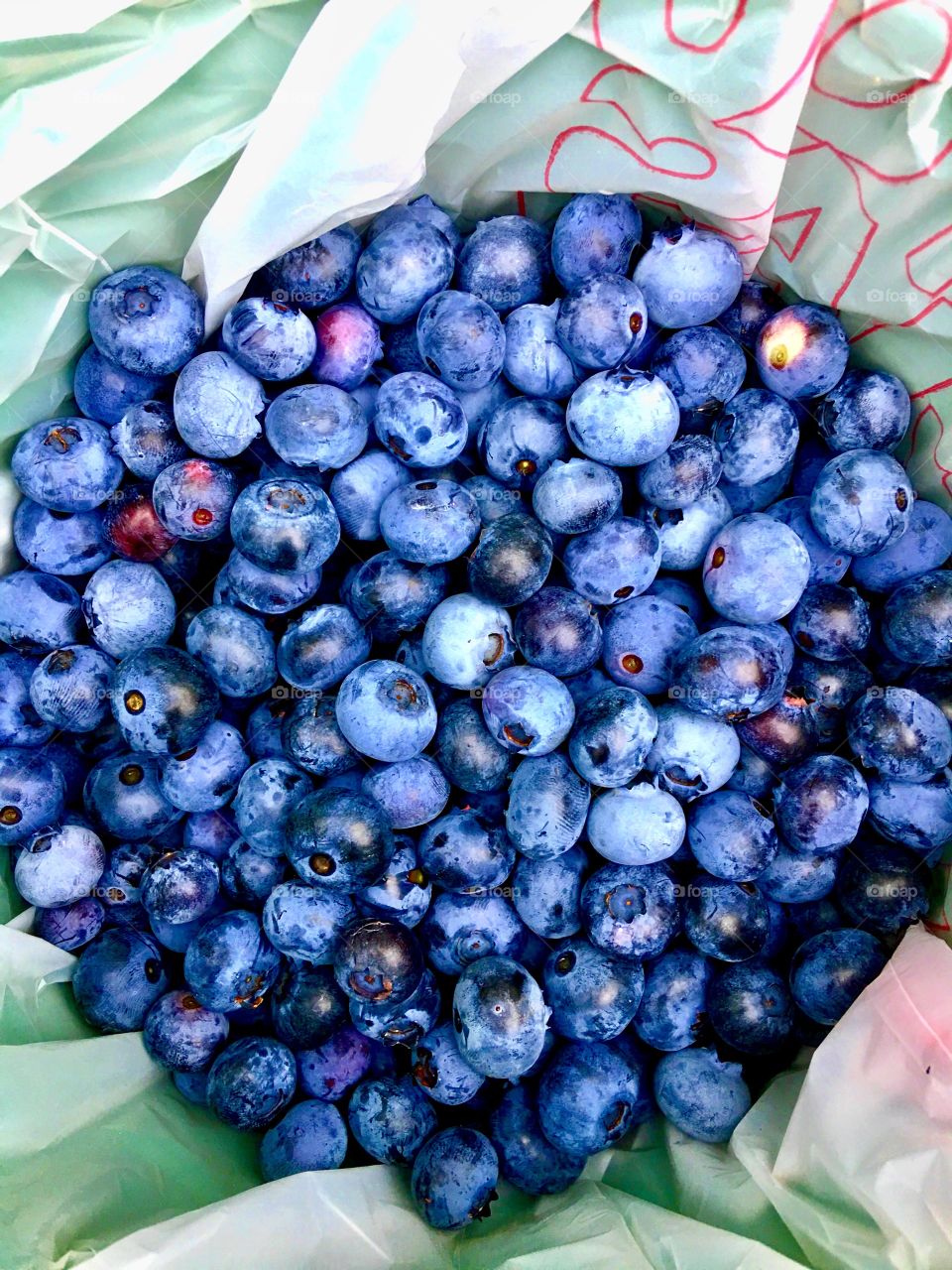 Blueberries picking day