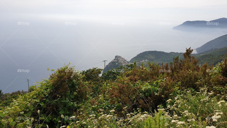 Cinque Terre, Liguria, It