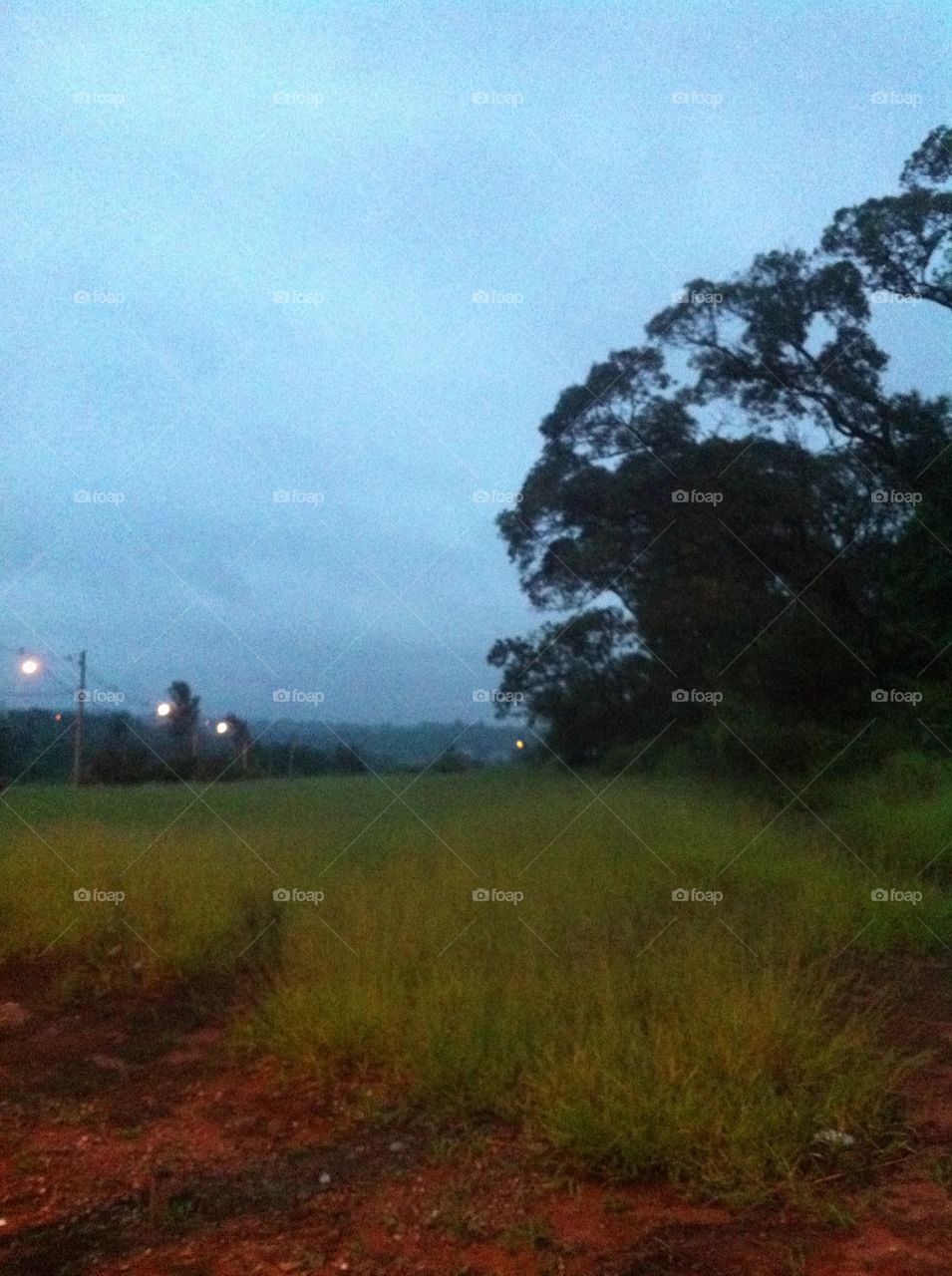 Céu azul e cinza, com a natureza despertando ainda assim tão bela. Que o amanhecer seja inspirador. 