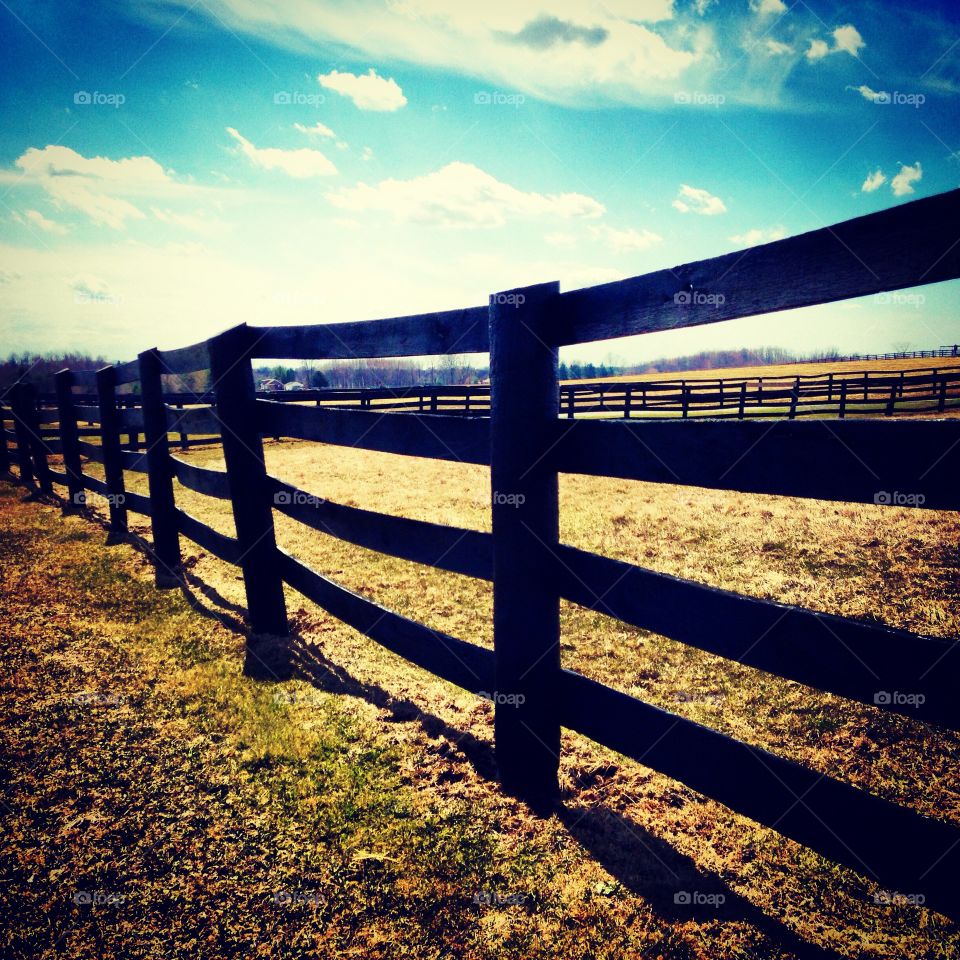 Cattle fence