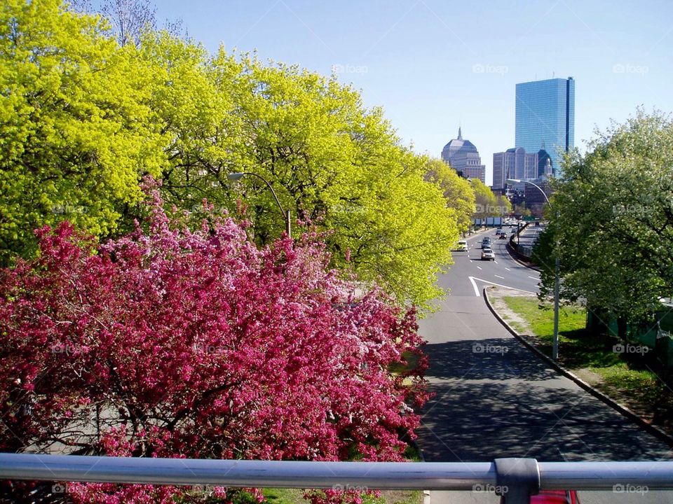 Boston Spring