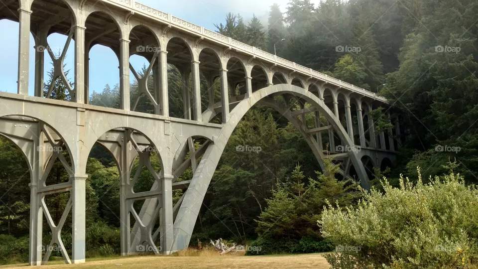 Bridge