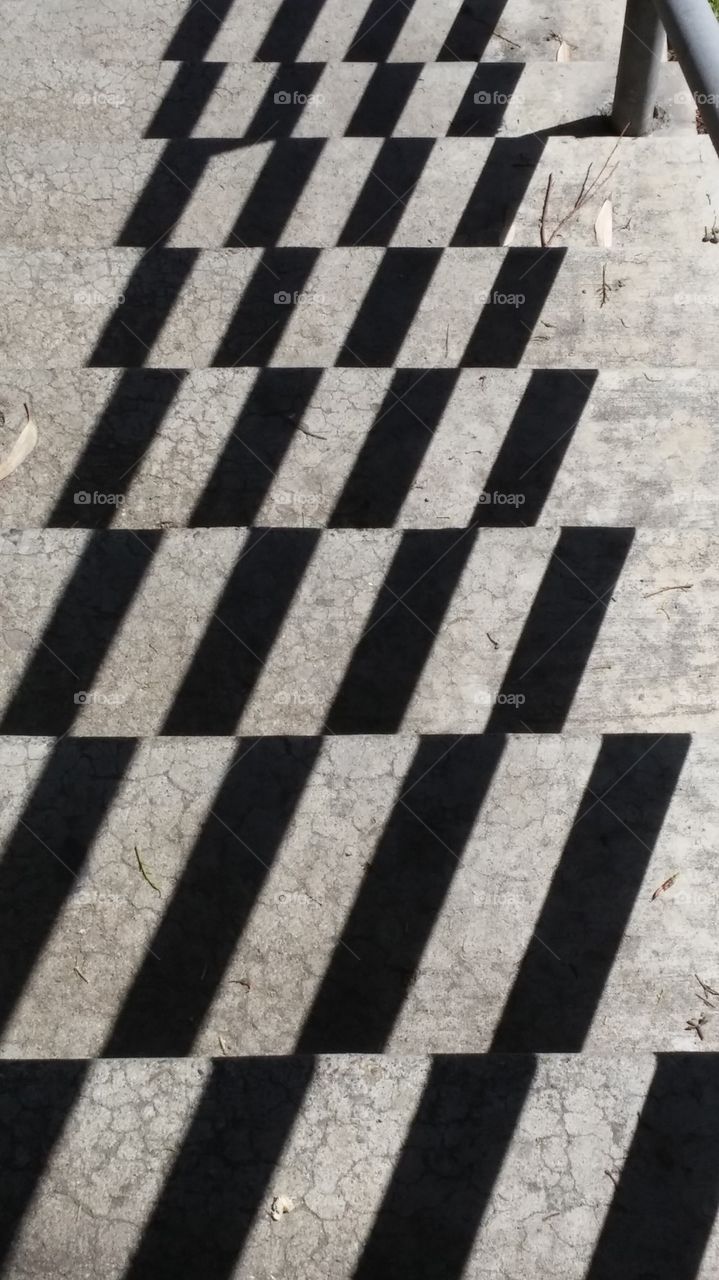 shadows 