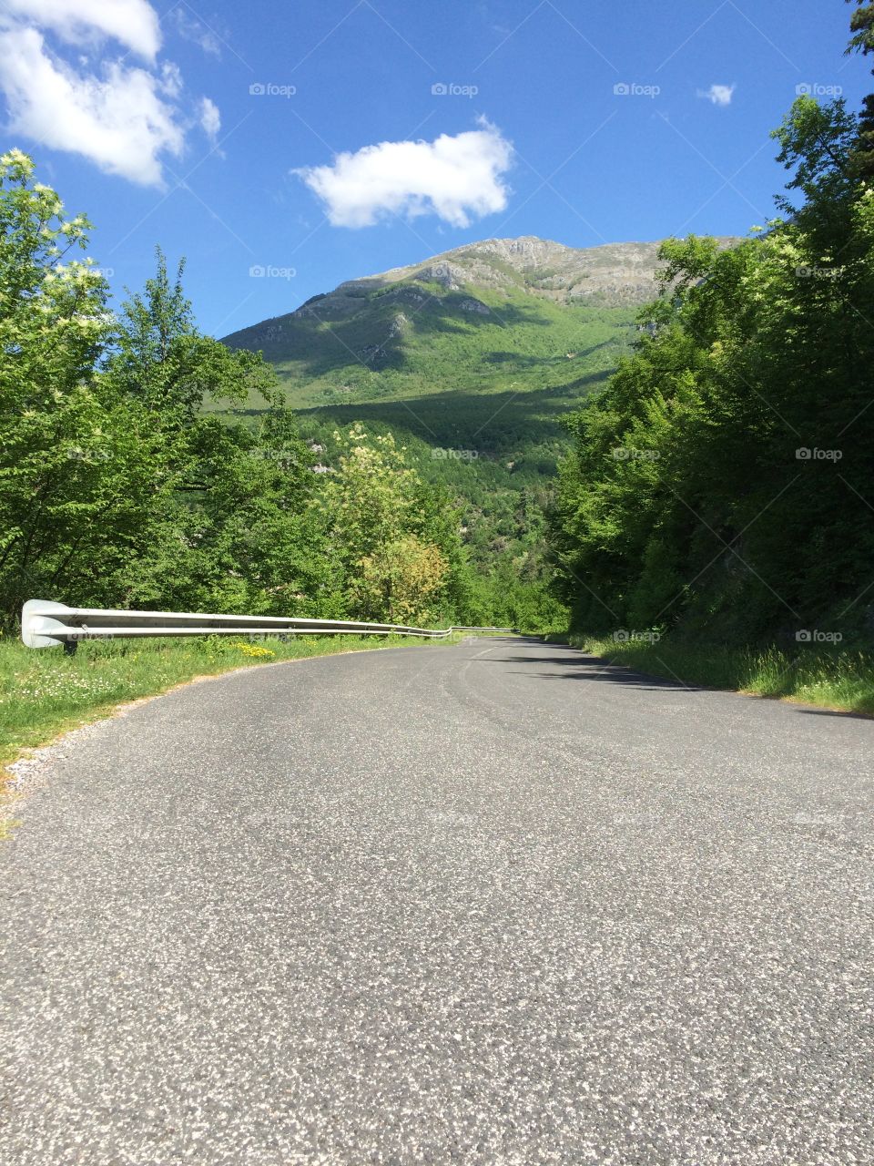 Curving road through the hills and woods of Italy 