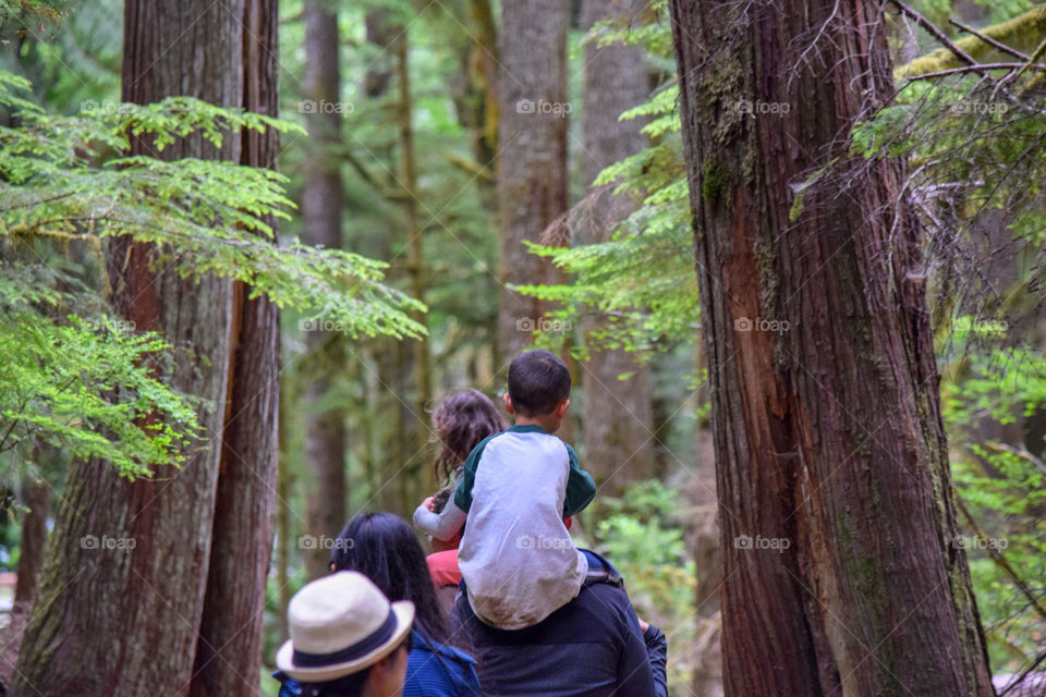 Hiking into the woods with family