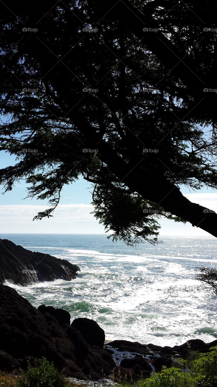 View Site Near Whale Cove Oregon