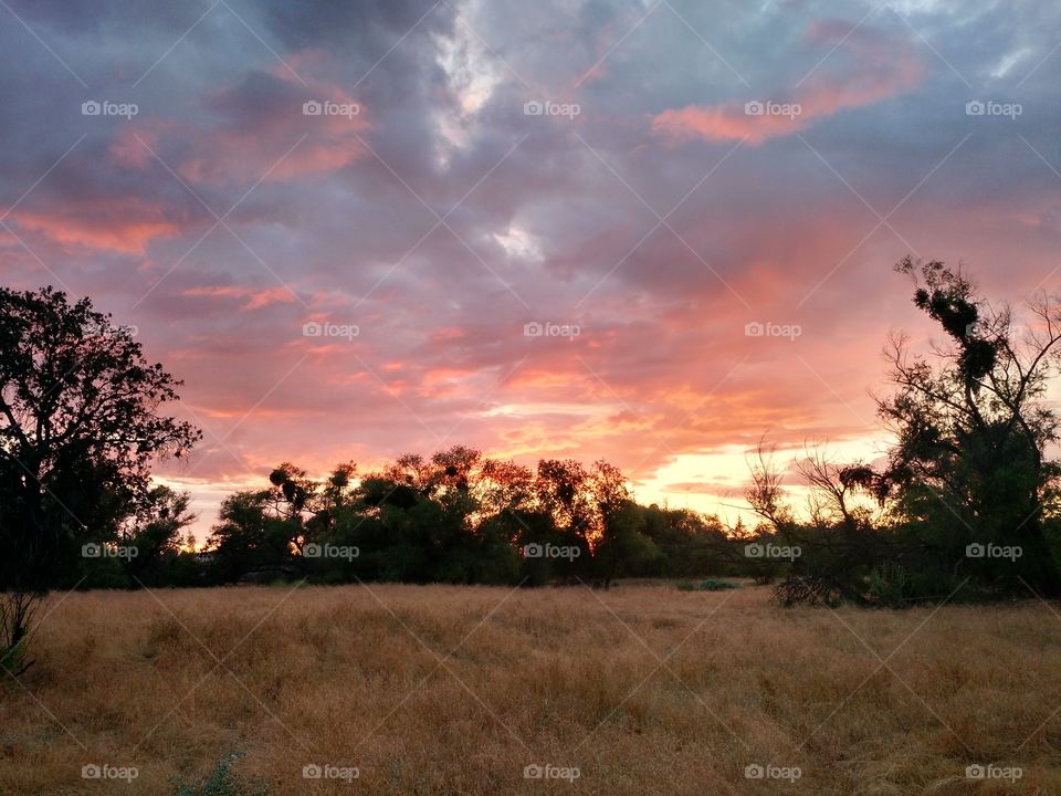 sunset in the central valley