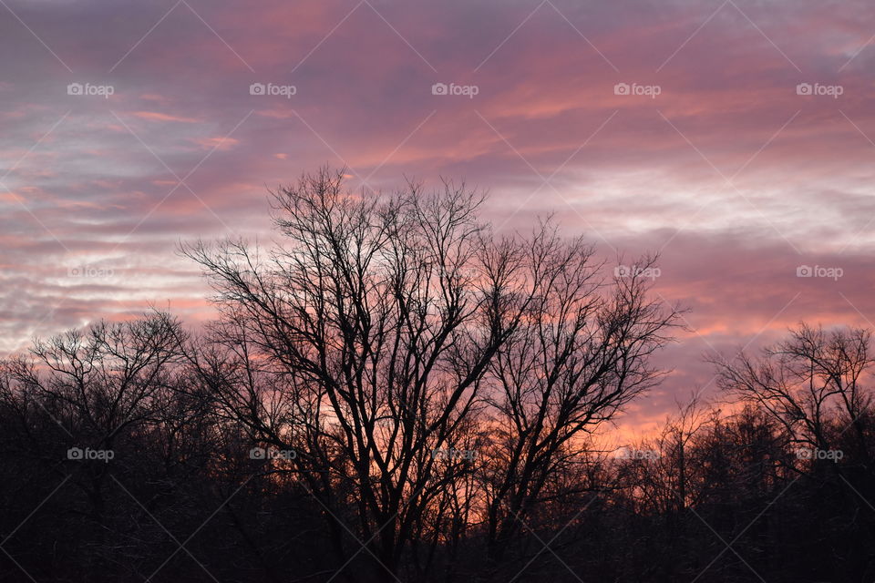 Sunset on a New Jersey Farm