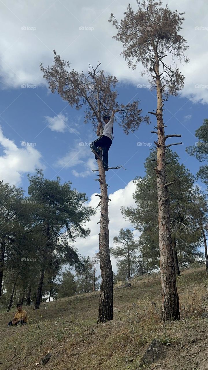 Sometimes you have to see the world from the top of a high tree and from the perspective of a girl full of excitement, and then you will see how beautiful and attractive the world around you can be