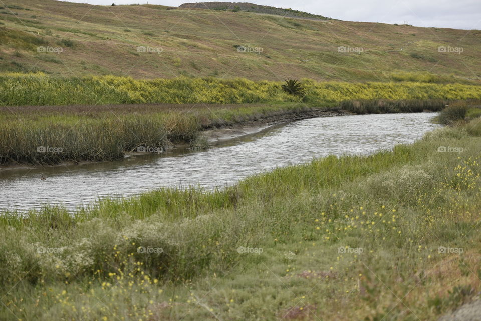 Banks of a river