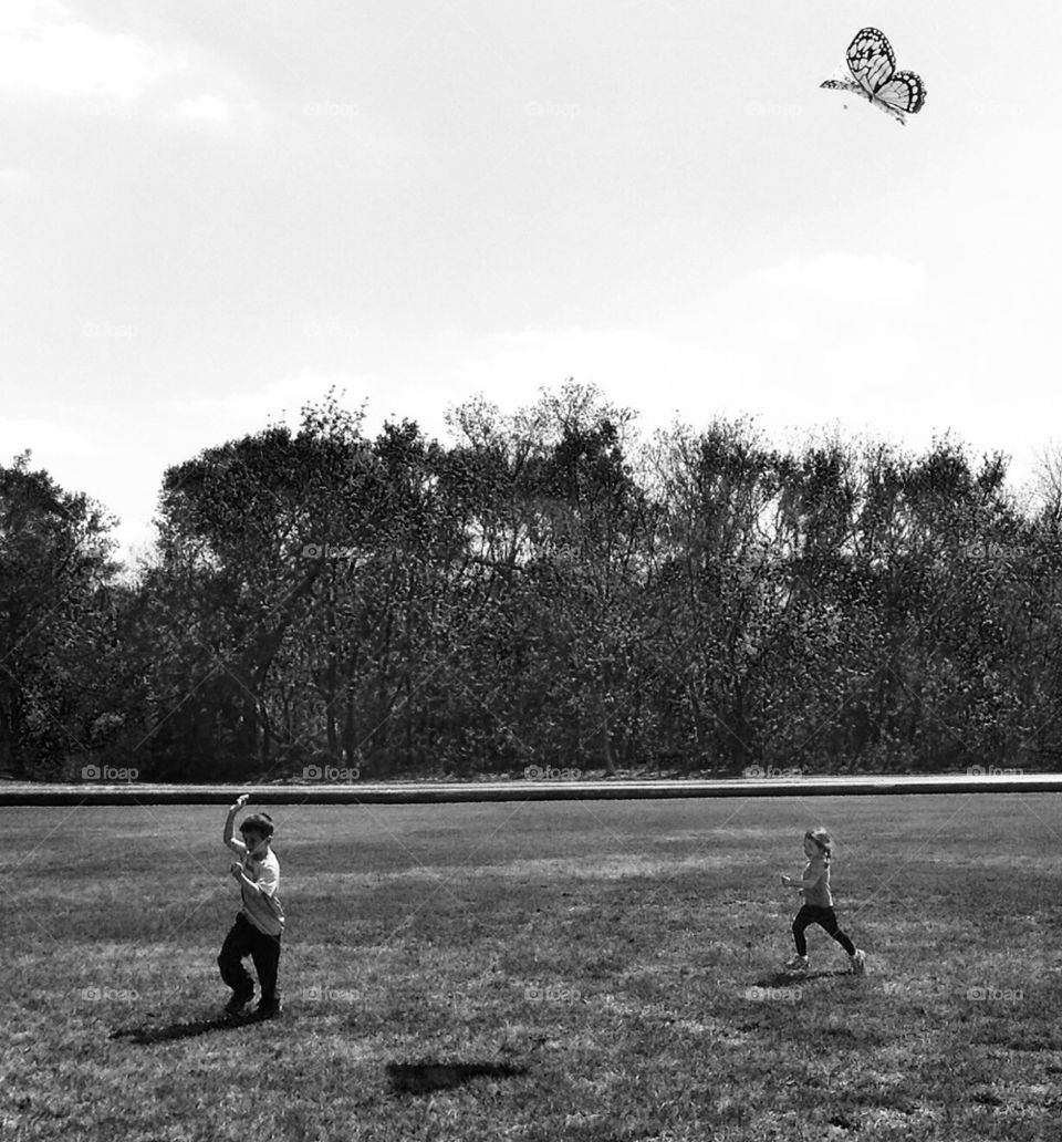Kite flying fun 