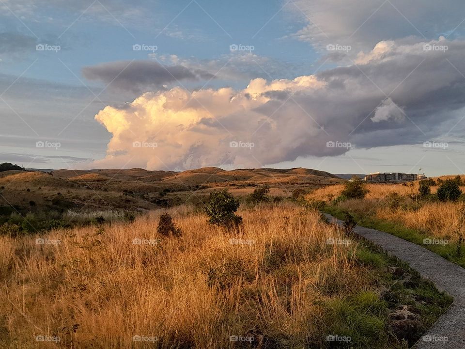 Beautiful landscape in the Cherapunji, Meghalaya, India. This picture can be used for desktop backgrounds. Also, this photo can be used for tour and travel purposes.