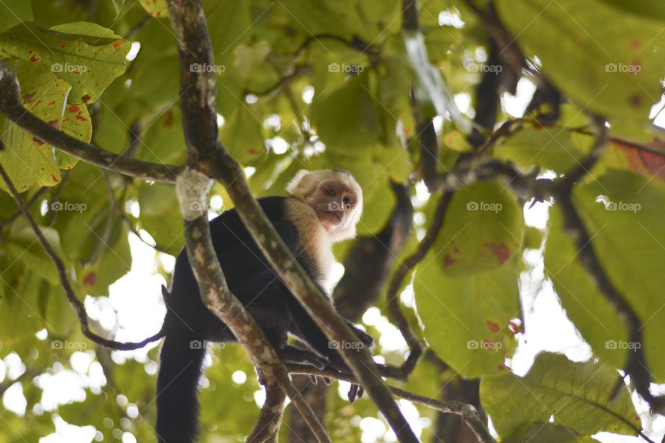 Costa Rica