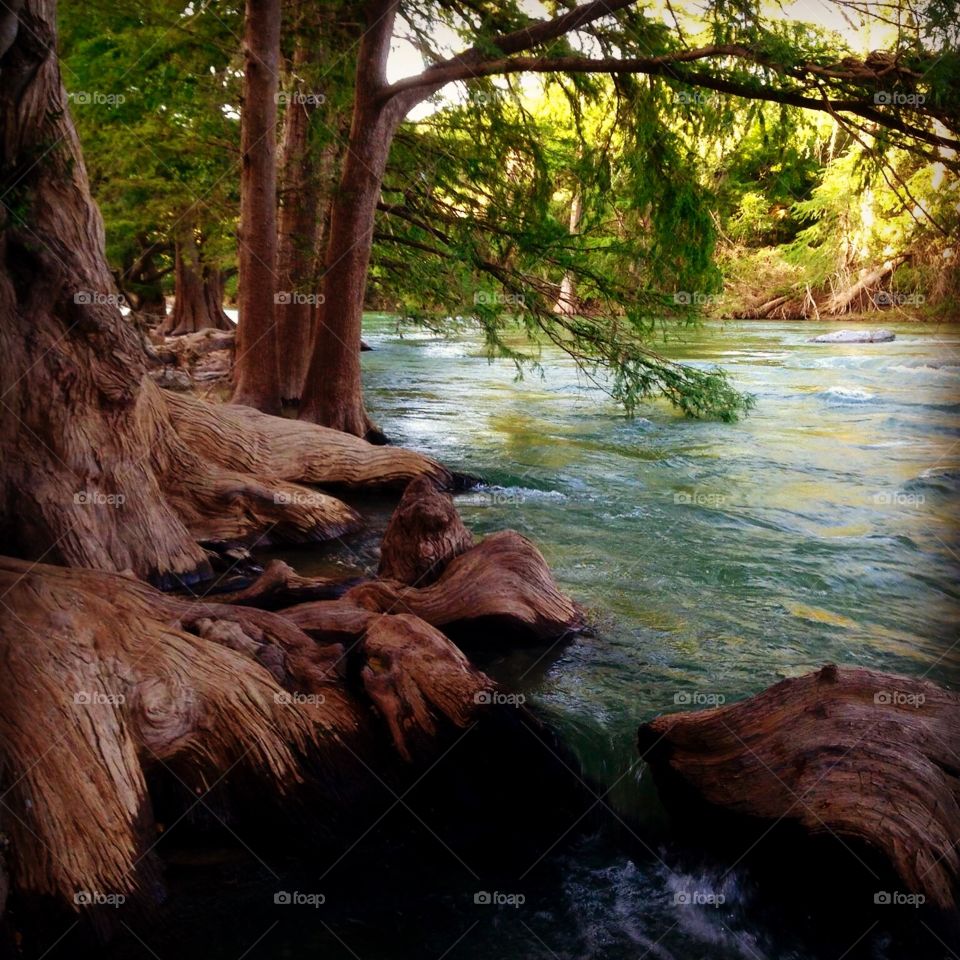 Guadalupe river