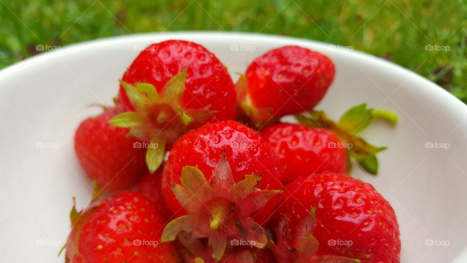 Strawberries. Jordgubbar