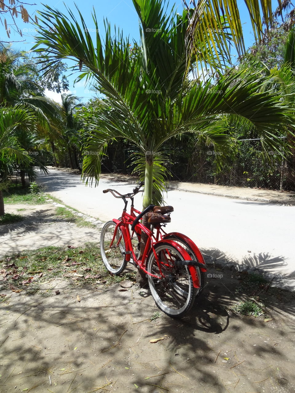 Two Red Bicycles