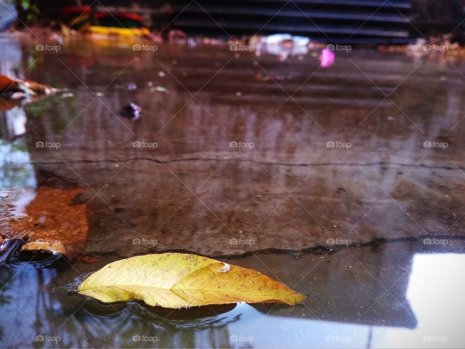 rain takes the nature