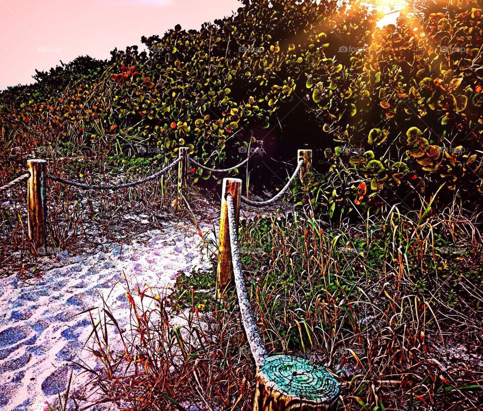 Beach pathway