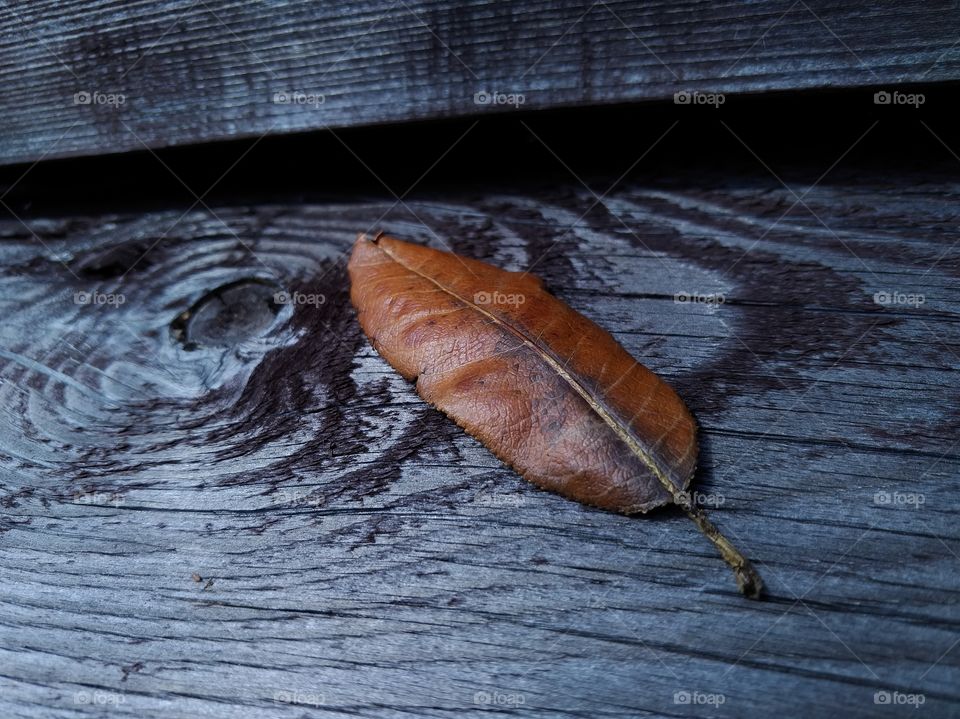 The leaf is lying on a wooden Board