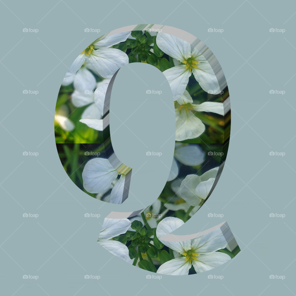 Q alphabet 3d rendering of vertical white flowers alphabet