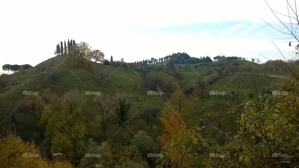 Autumn on the hill of Marostica