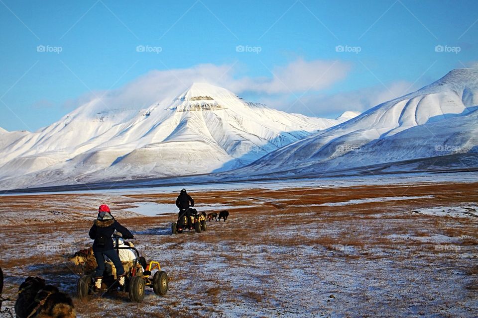 Sledding 