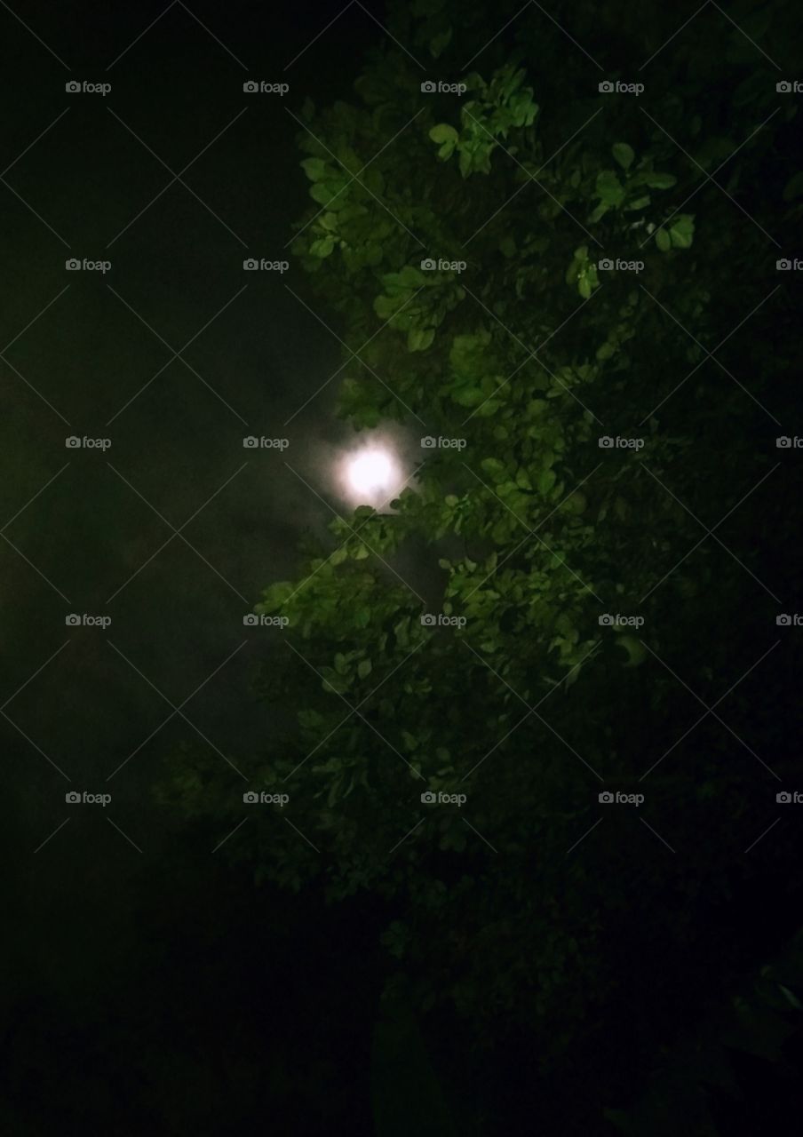 Malam hari bulan di langit sedikit redup karena timbul setelah turun hujan