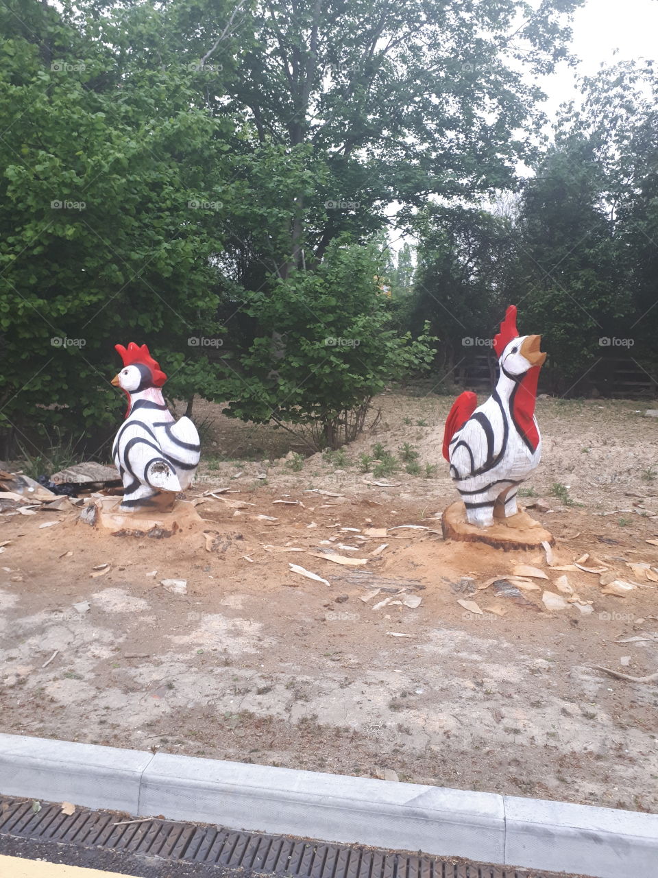 Wooden Chickens