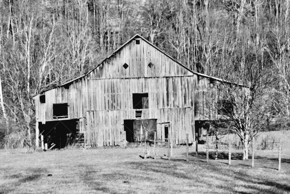Barn