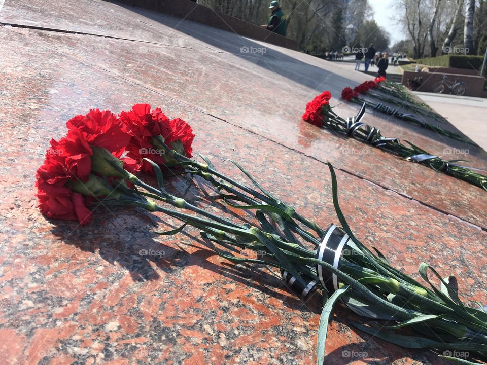 The red carnation flowers on the memorial. 