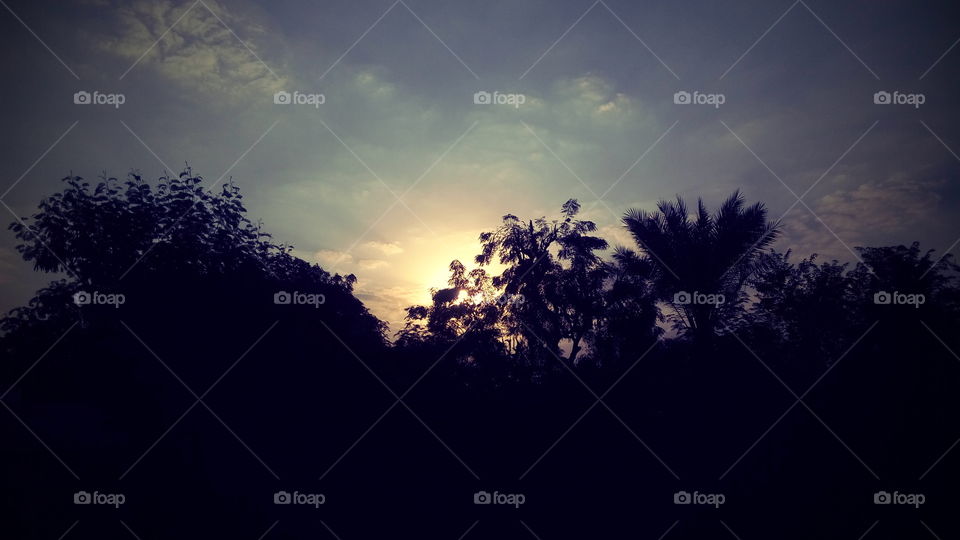 early morning sunrise