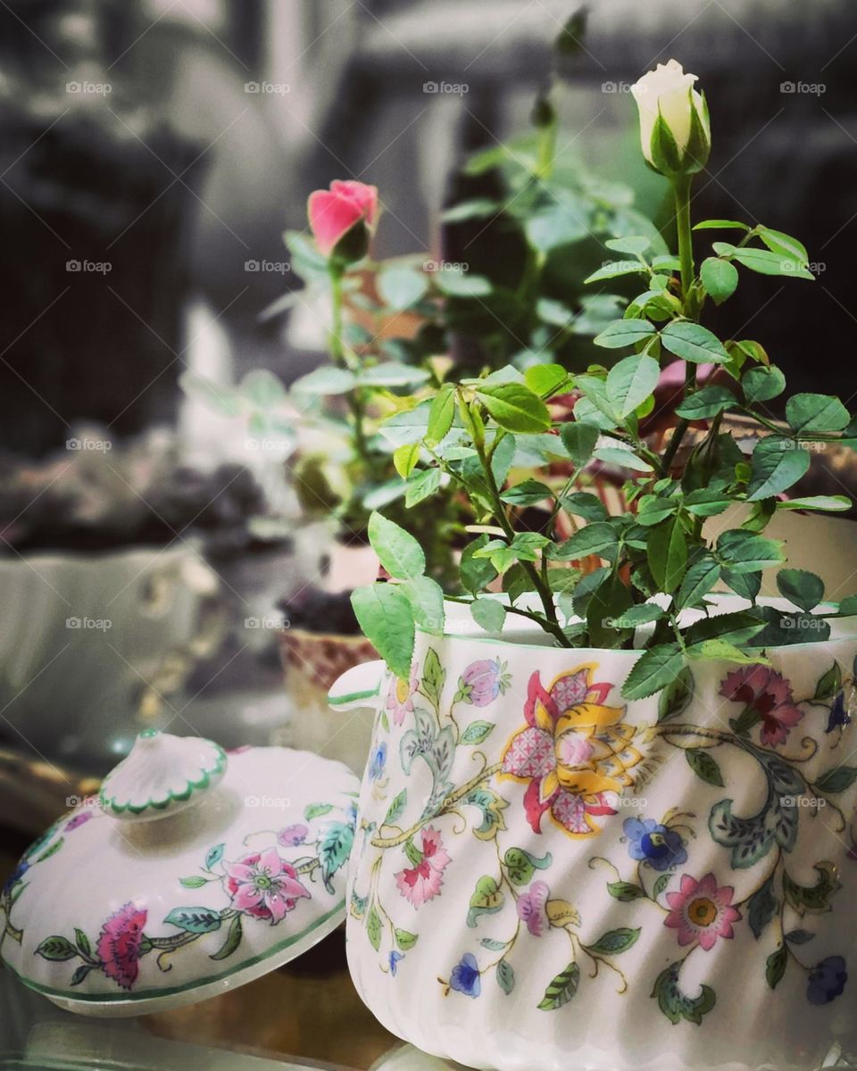 mini rosas e porcelana