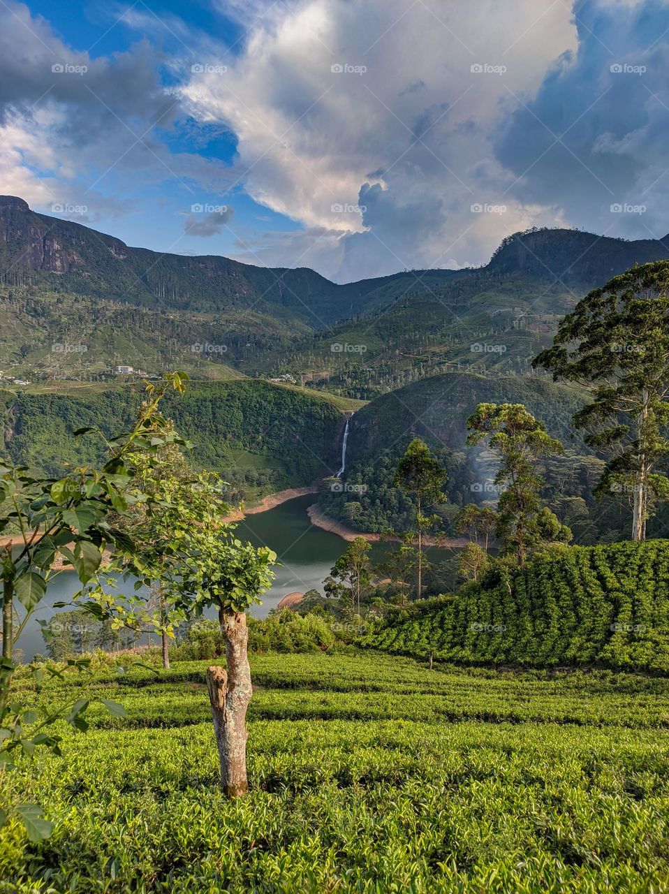 Gartmore Waterfalls Srilanka