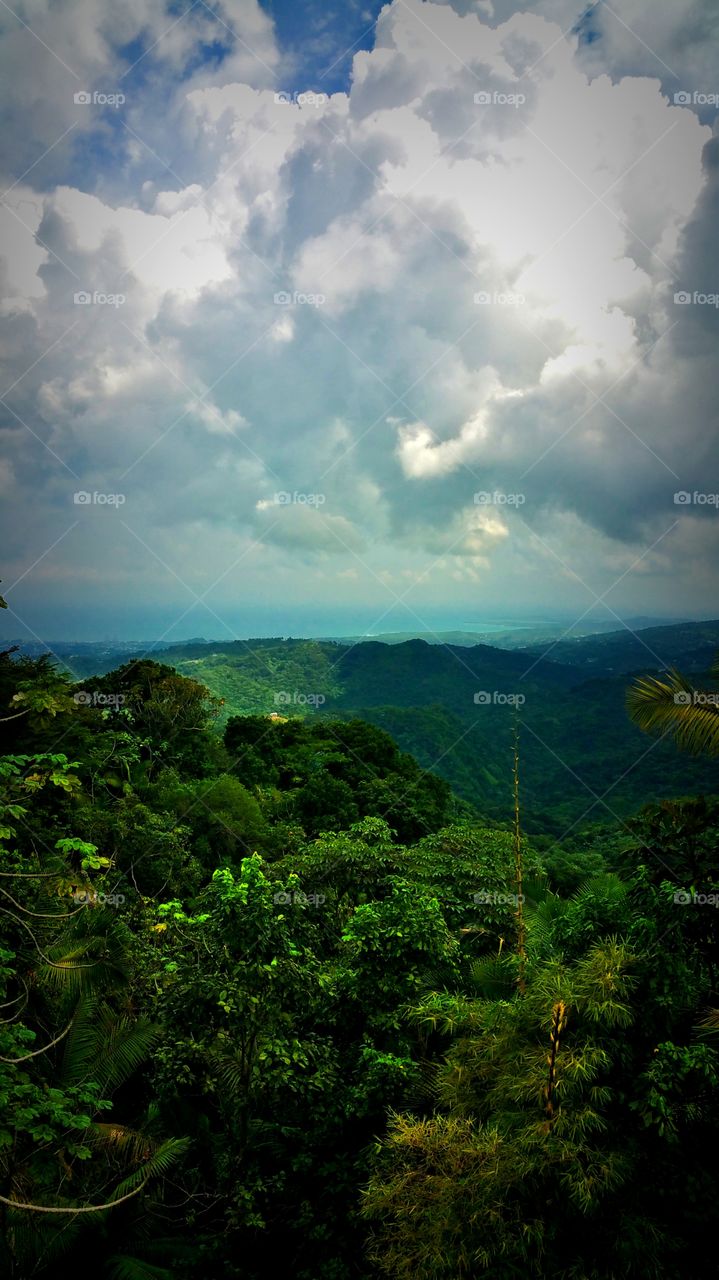 El Yunque rain forest.. San Juan