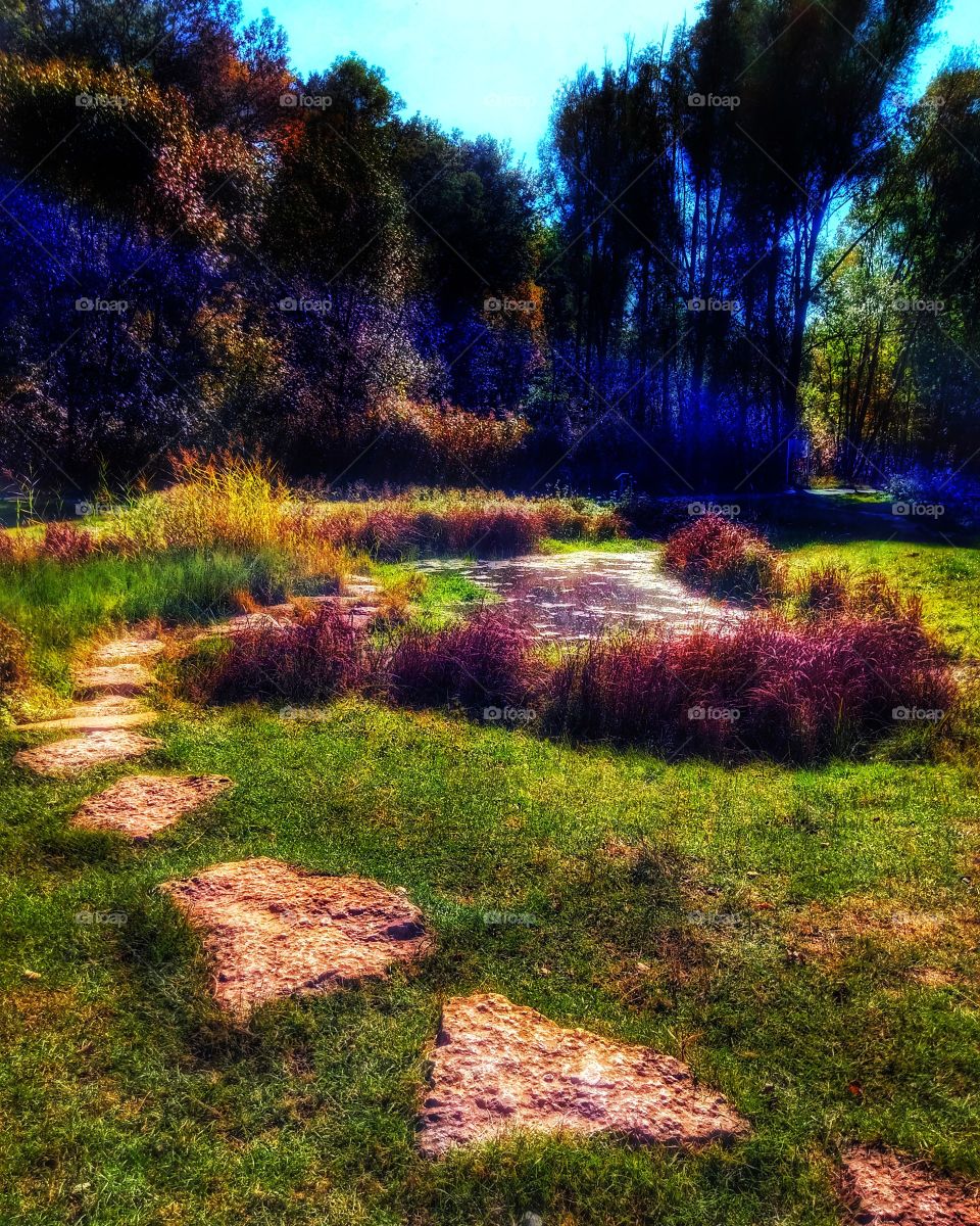 A hidden magical place