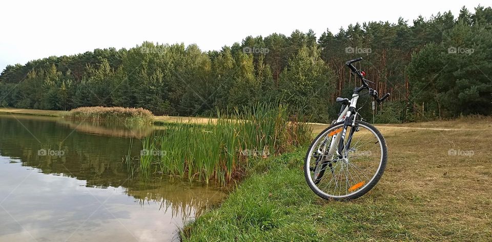 bike on a lake shore beautiful nature landscape