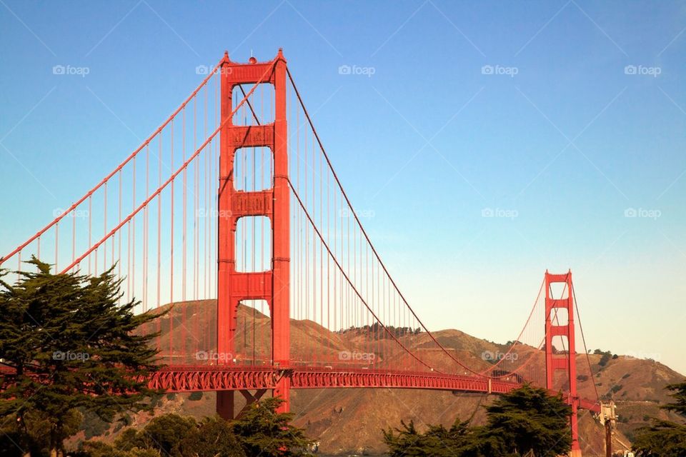 Golden Gate Bridge