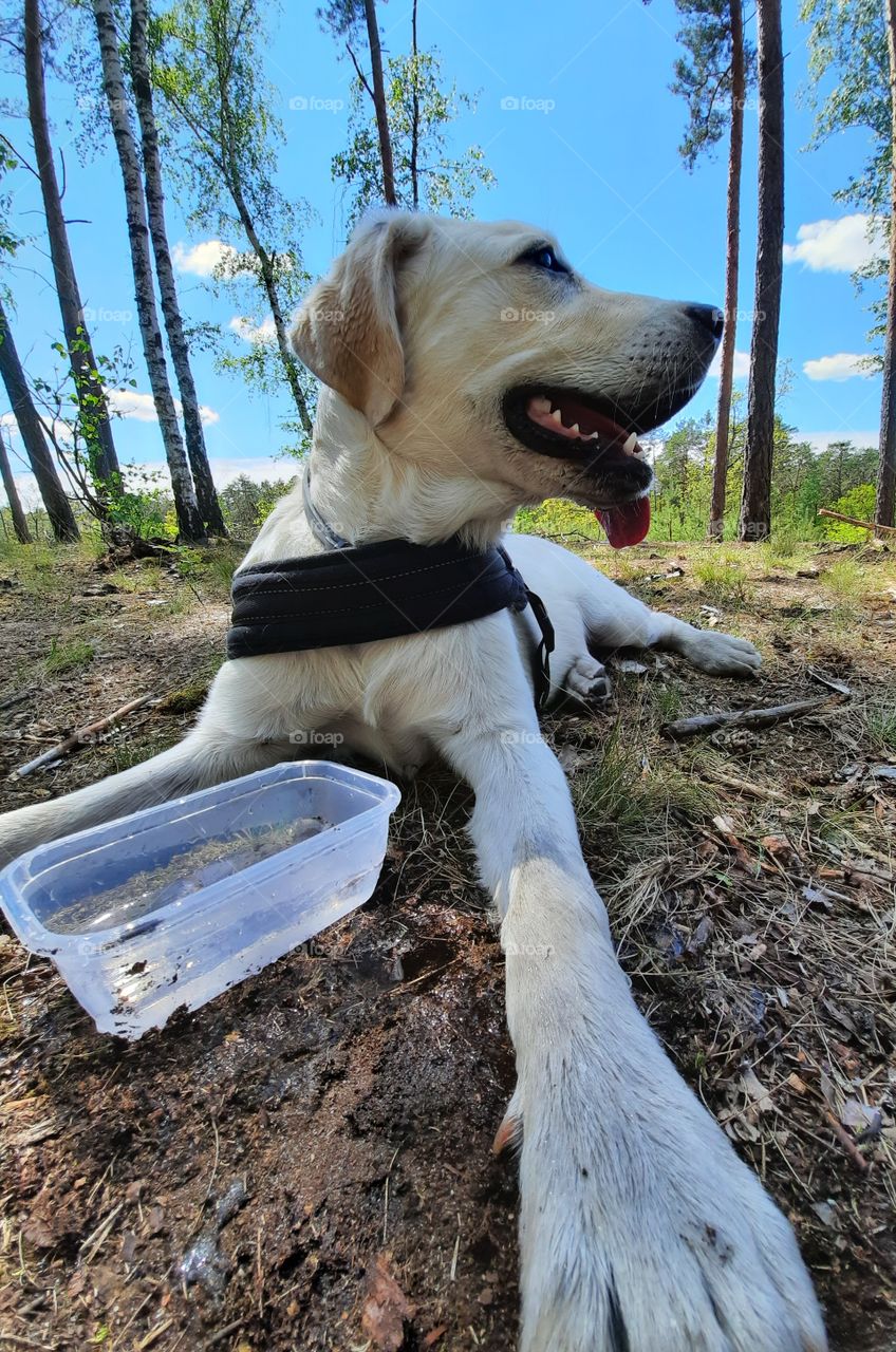 after along walk alittle rest for some water