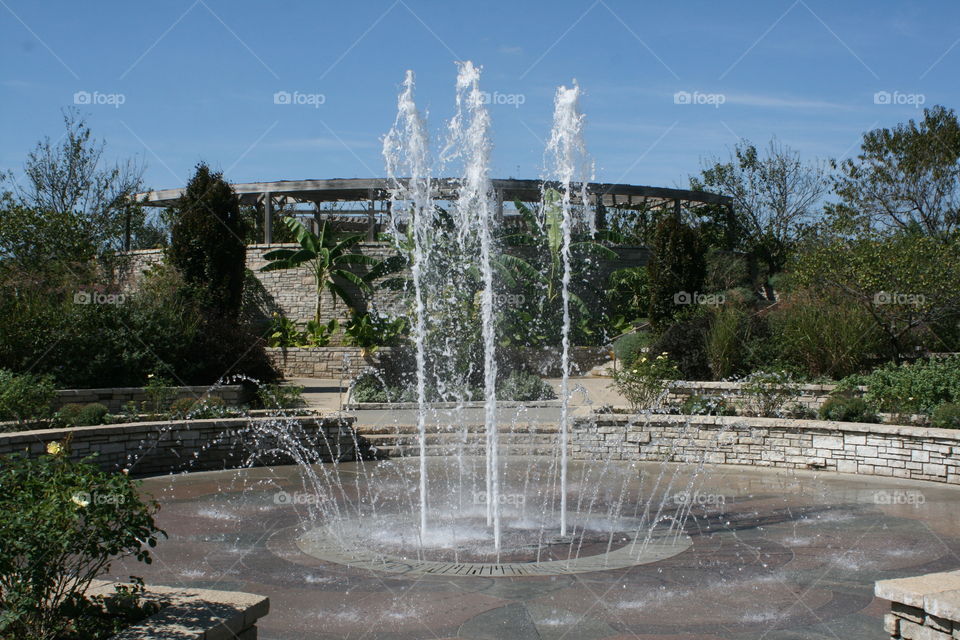 Water Fountain 