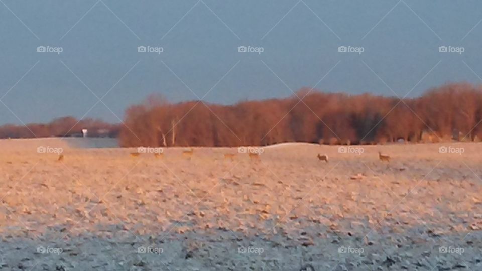 No Person, Landscape, Desert, Outdoors, Dawn