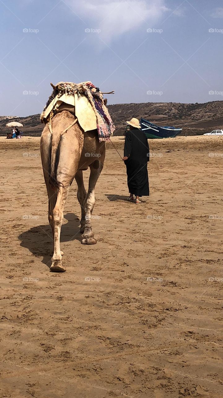 The man and the horse in the beach