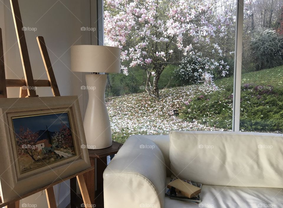 Spring morning at home