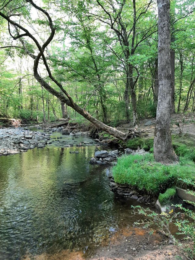 Hiking area. NC.