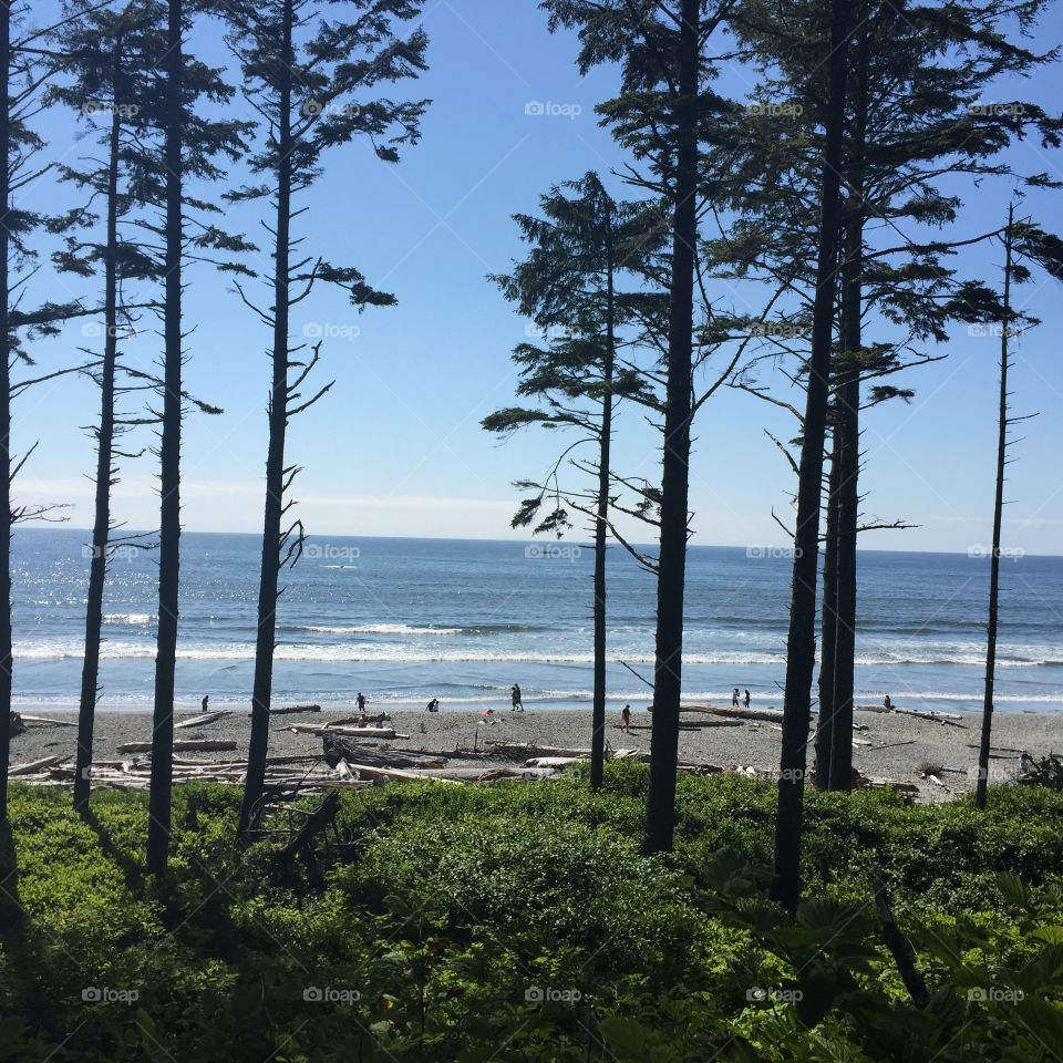 Summer At The Beach. Washington State Beach
