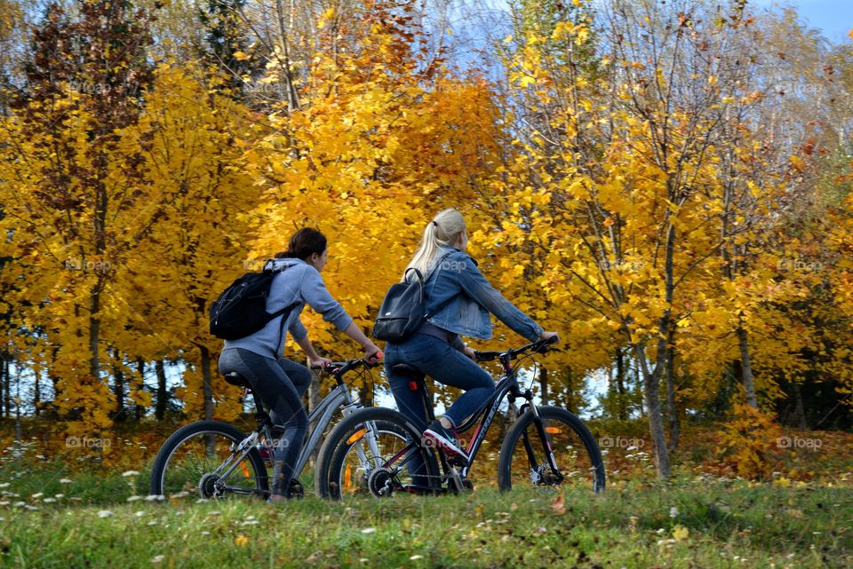 people riding on a bikes autumn beautiful landscape